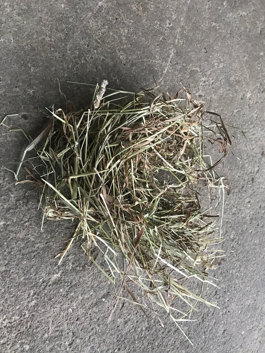 (2023) Mature/Stalky/Brown leaf 8.5kg of Timothy Hay