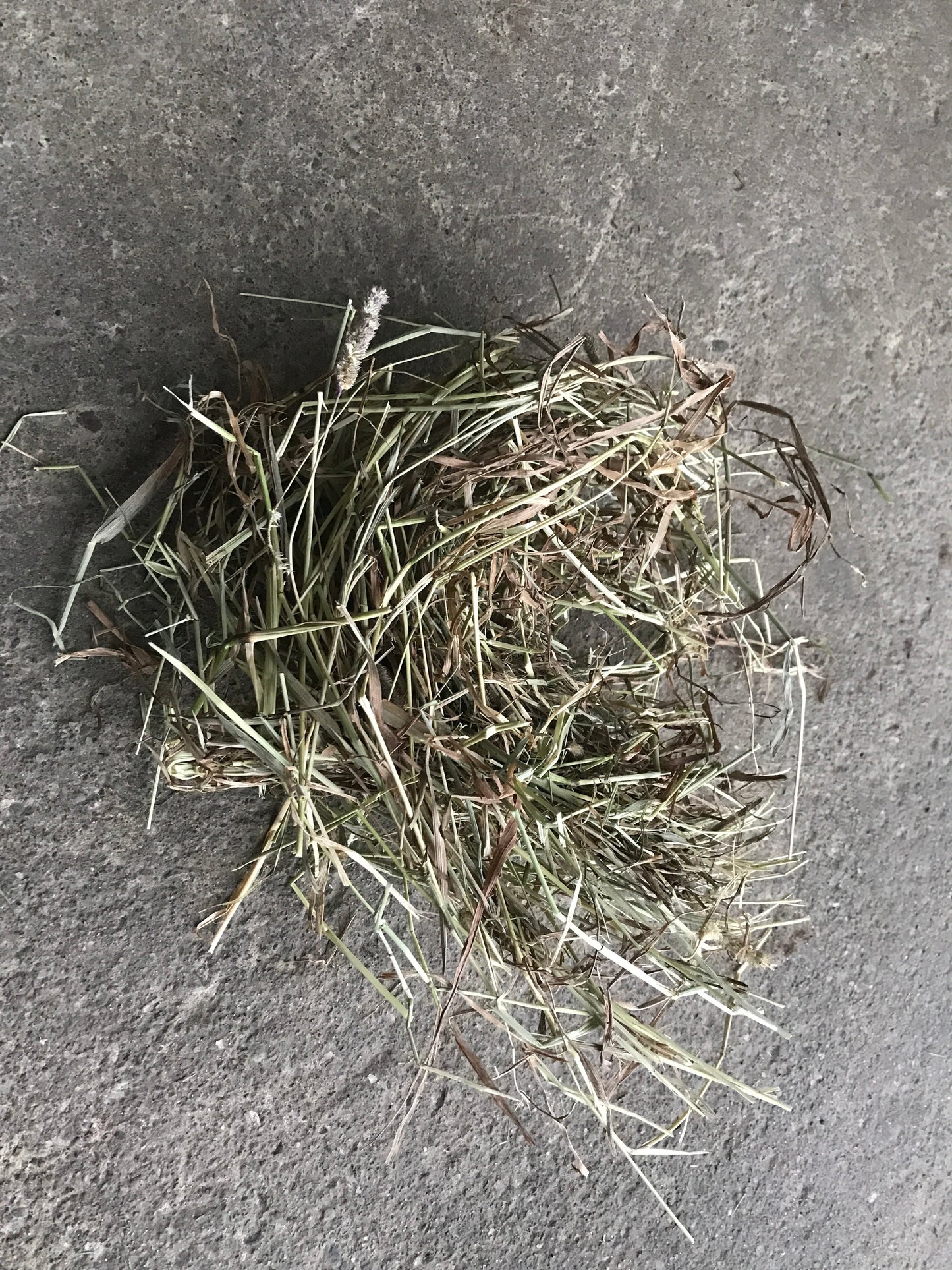 (2023) Mature/Stalky/Brown leaf 17kg of Timothy Hay