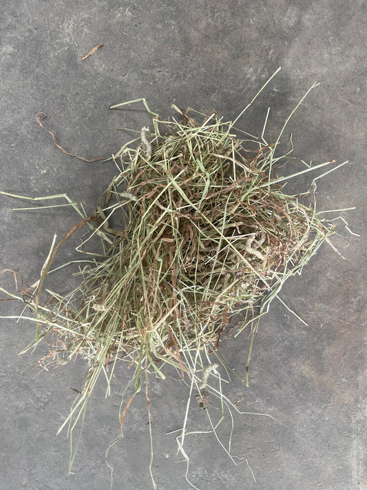 (2024) 17kg of Timothy Hay