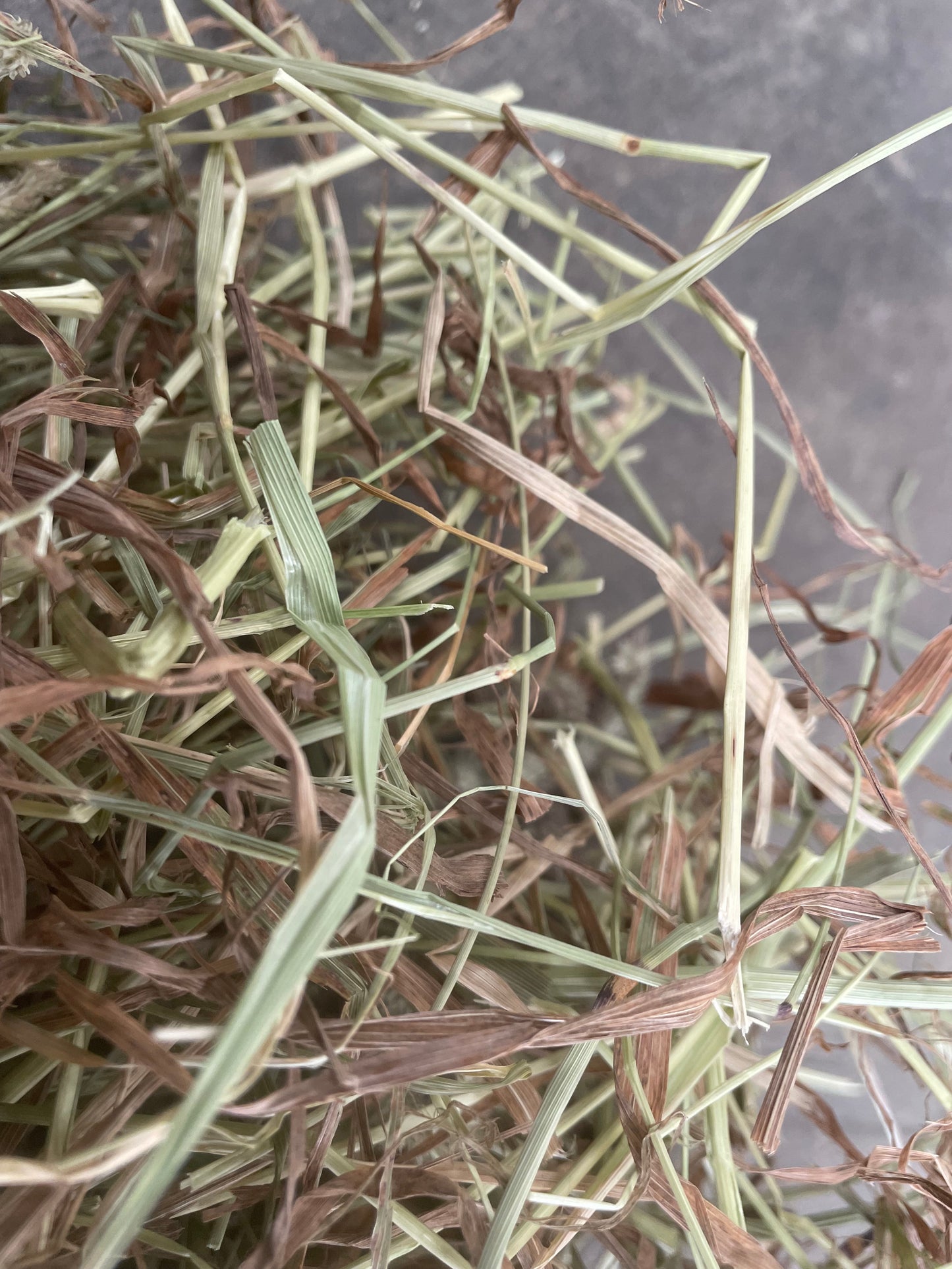 (2024) 8.5kg of Timothy Hay
