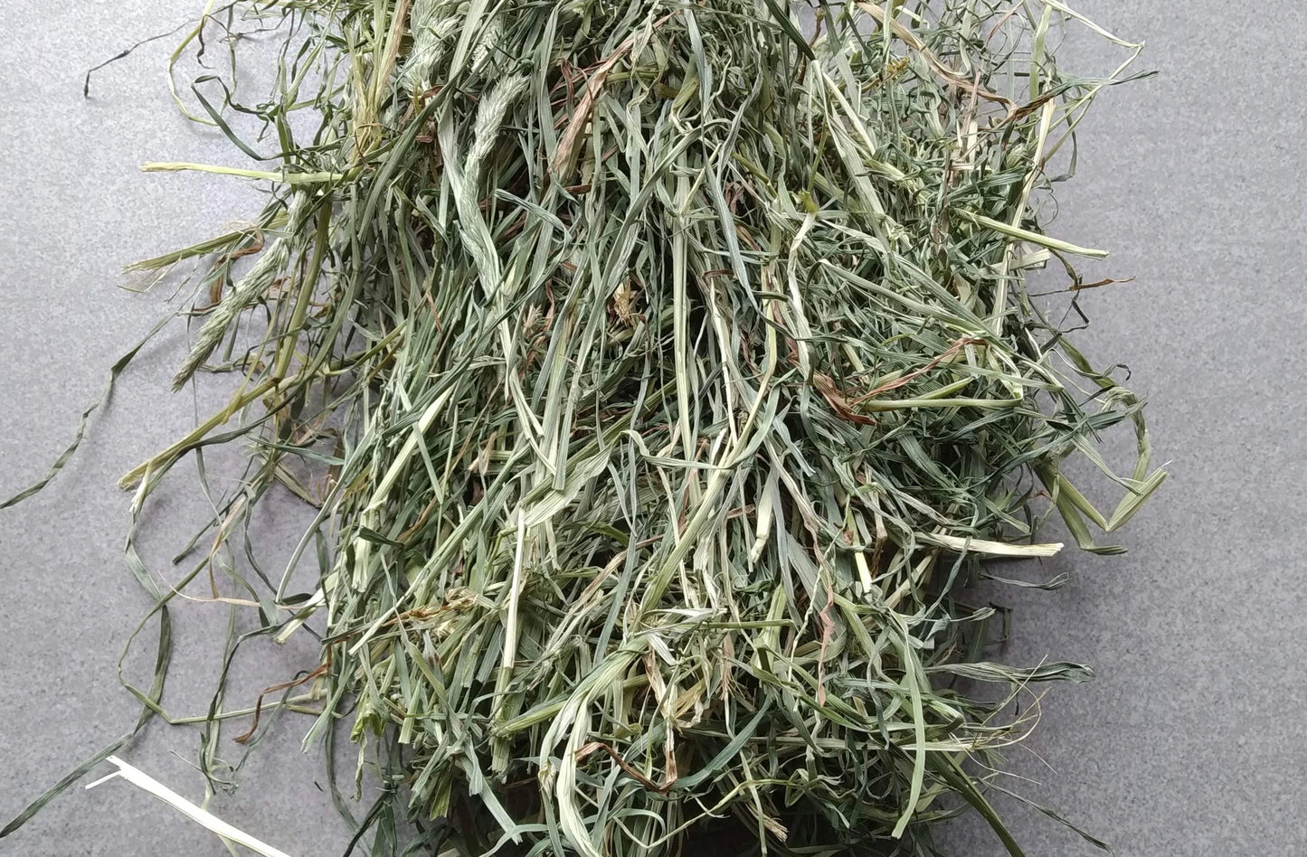 (2023) 17kgs Orchard Grass