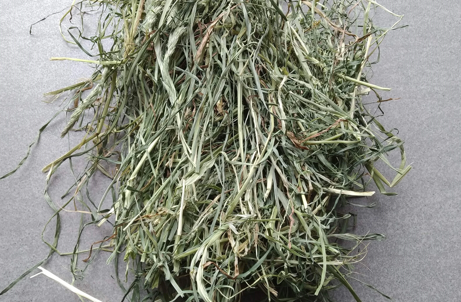 Timothyhay.co.uk - Supplying the UK with Quailty Timothy hay – Timothy ... - Timothy Hay For Small Yards Uk