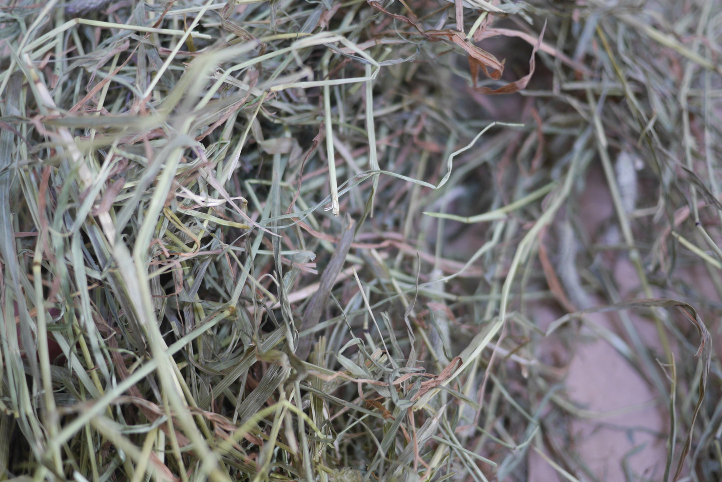 (2023) 8.5kg of Timothy Hay