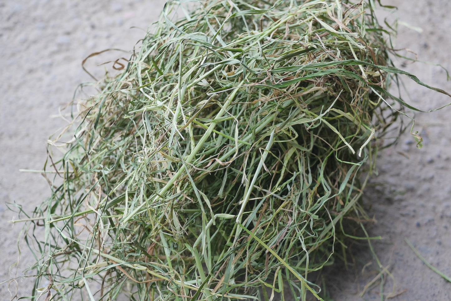 NEW 2023 17kg of Soft Timothy Hay