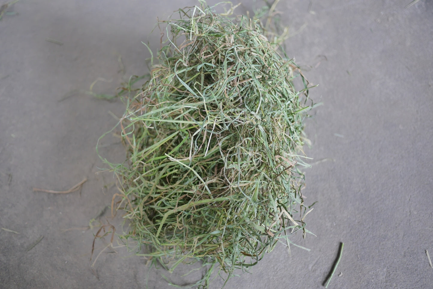 NEW 2023 8.5kg of Soft Timothy Hay